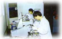 lab_129